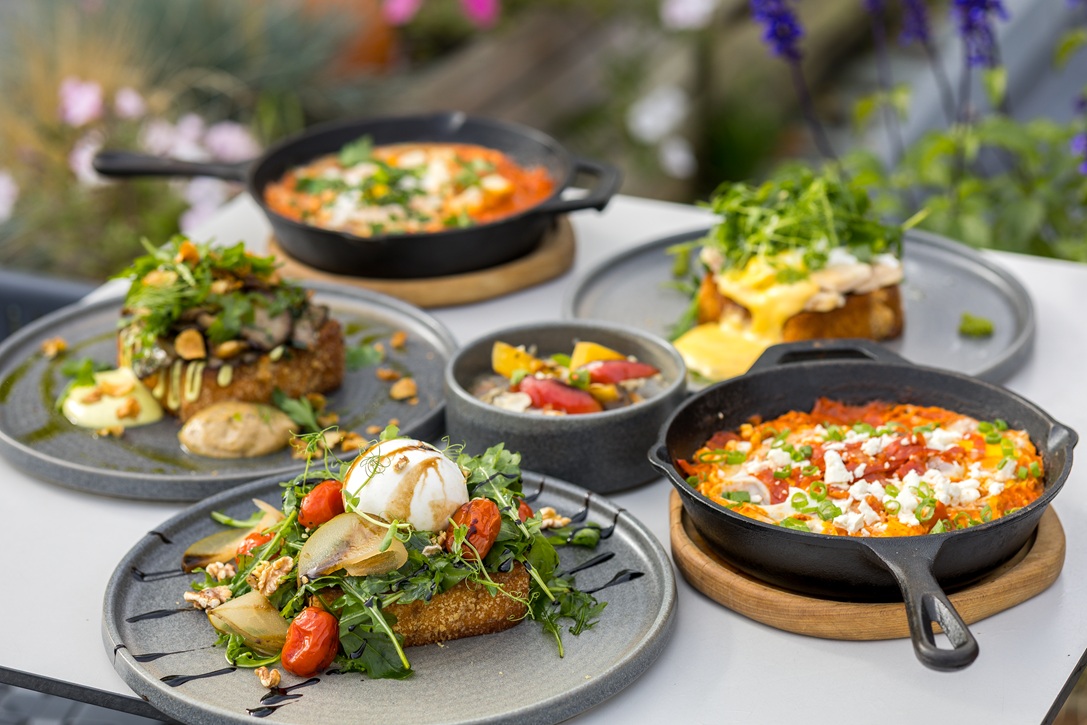 Menu restauracji M15 — dania autorskie